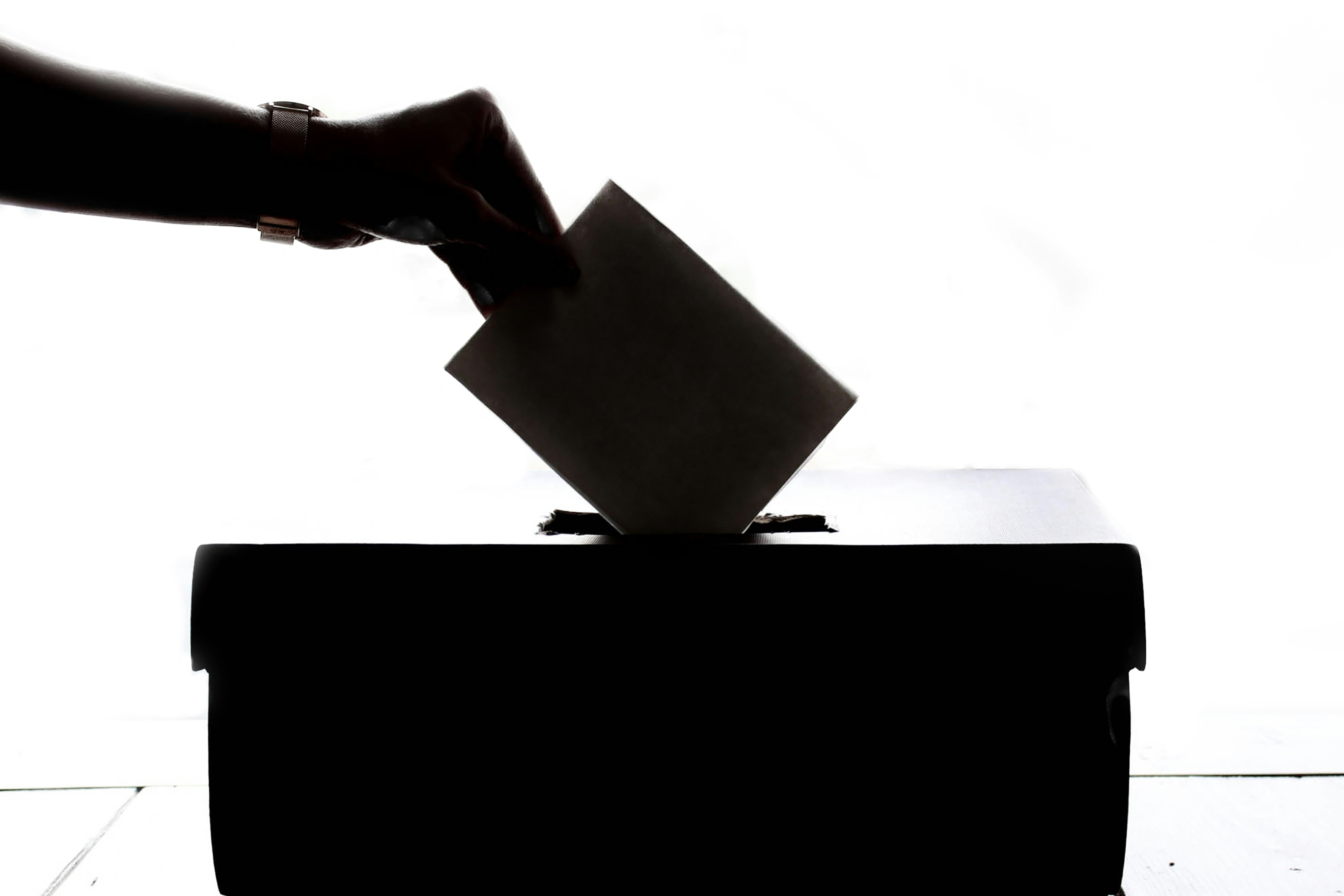 Silhouette of a person casting a ballot